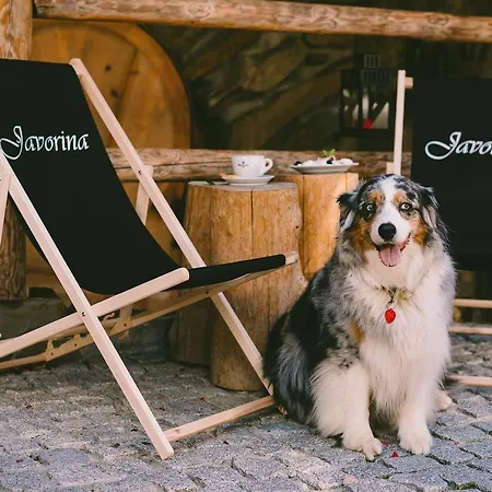 Javorina 자코파네